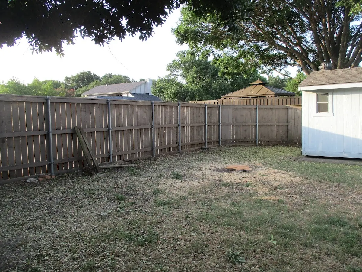 Cleared yard after professional tree removal in Waterford